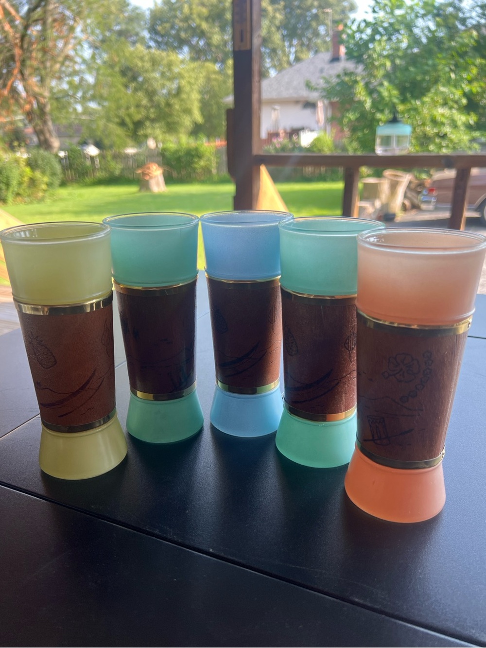 Vintage Siesta Ware Tiki Tumblers Set of 5 Pastel Frosted Glass MCM Barware